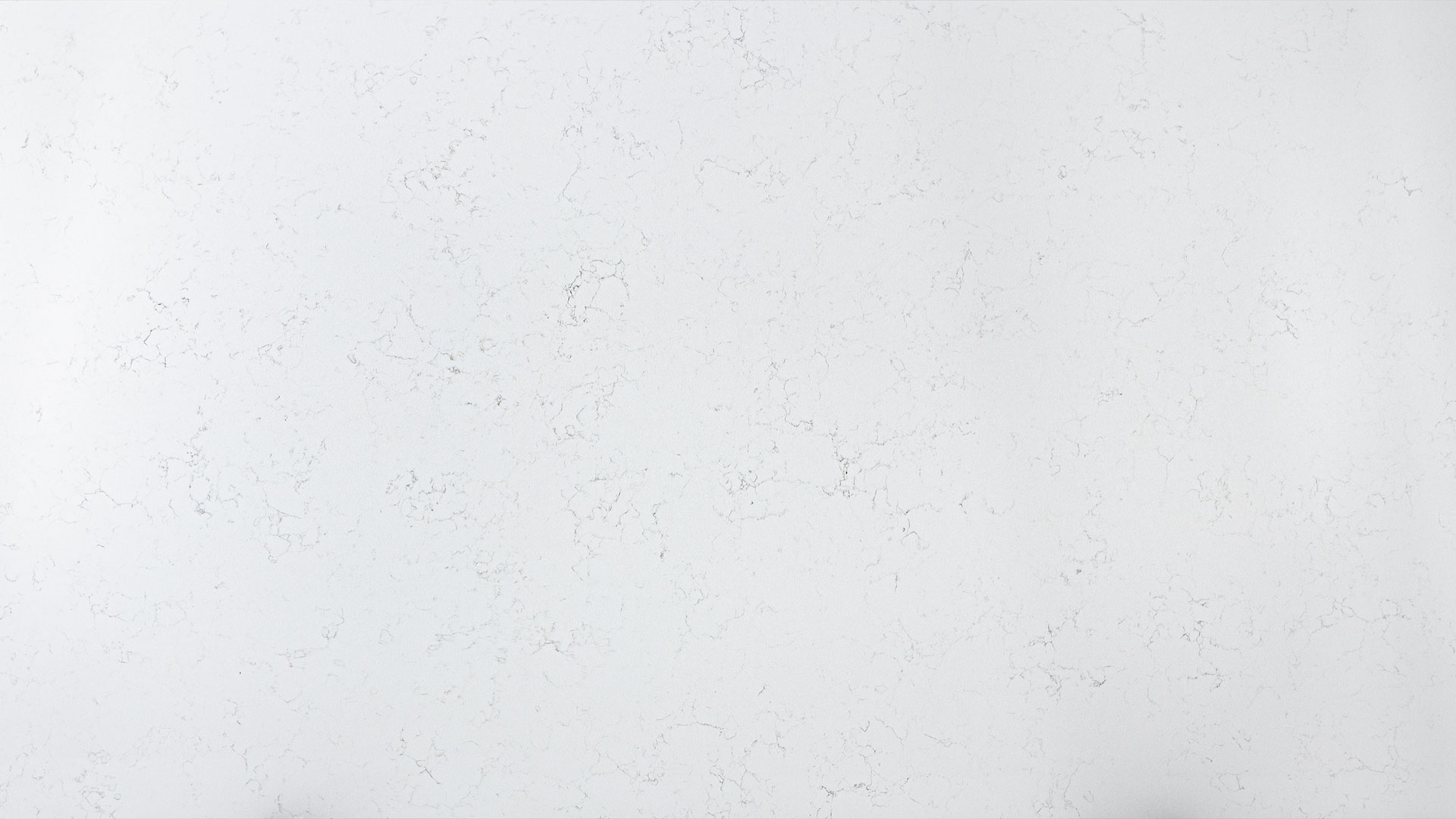 Carrara-White-CQM299